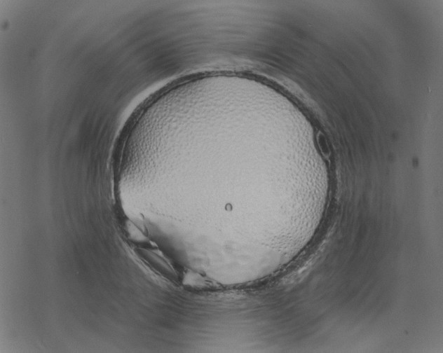 X0000078260838200612011652