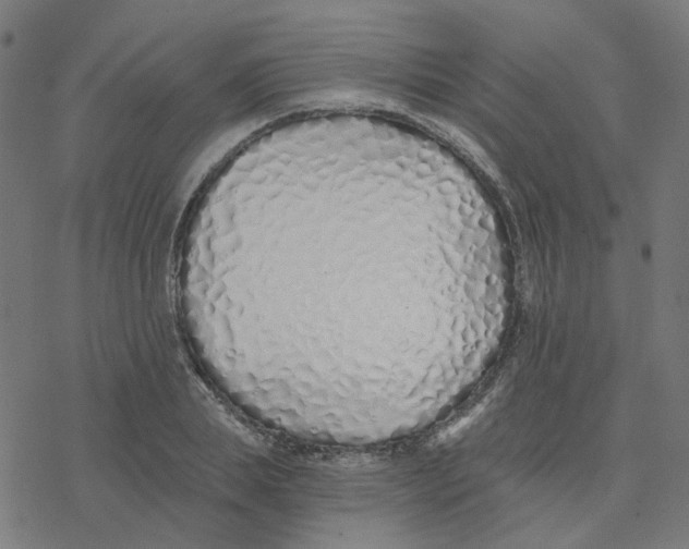 X0000078260839200612011652