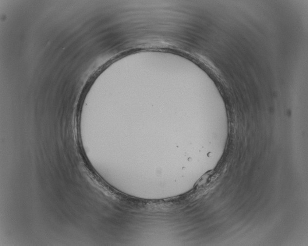 X0000078260840200612011652