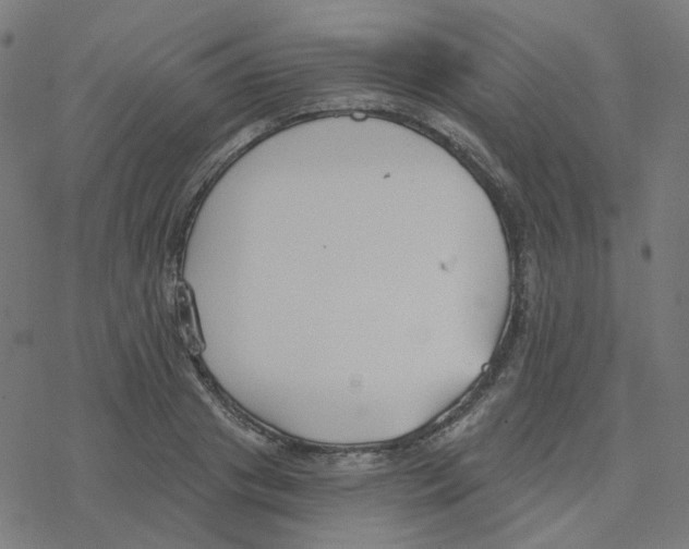 X0000078260841200612011652