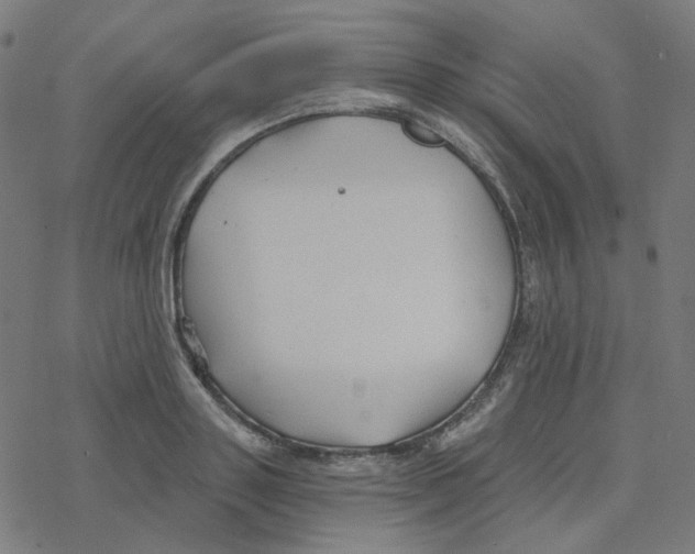 X0000078260843200612011652