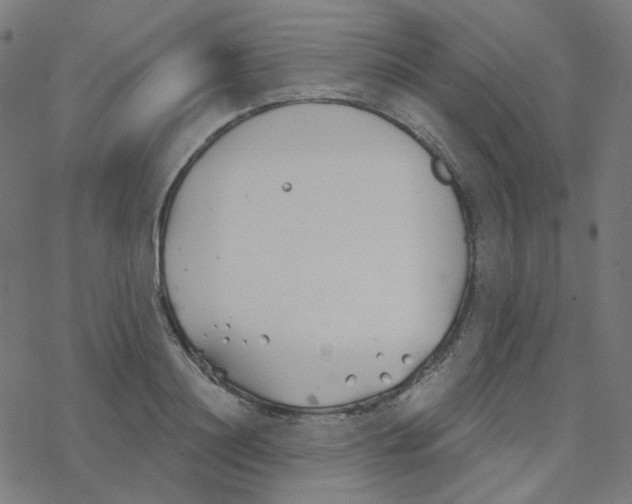 X0000078260844200612011652