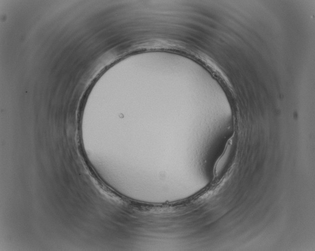 X0000078260845200612011652