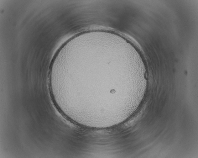 X0000078260847200612011652