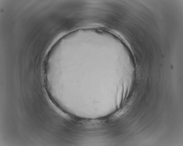 X0000078260851200612011652