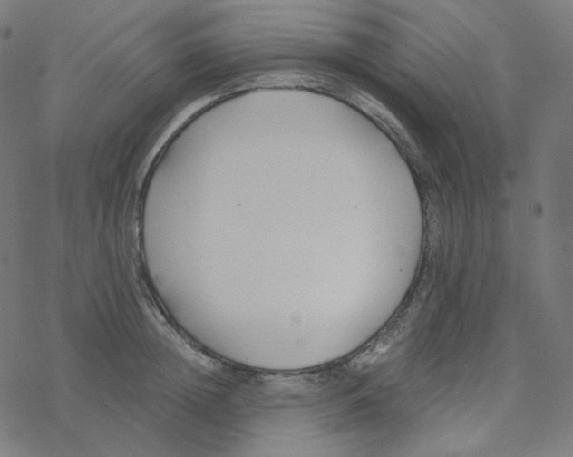 X0000078260852200612011652