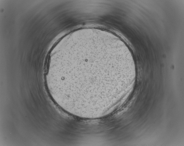 X0000078260853200612011652