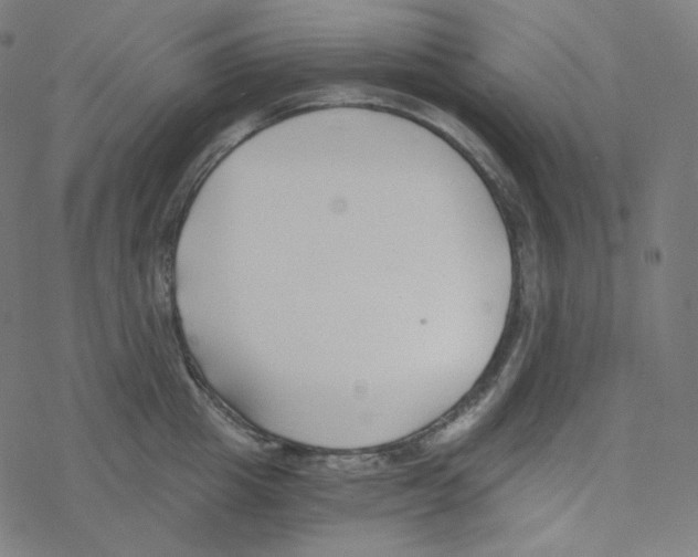 X0000078260857200612011653