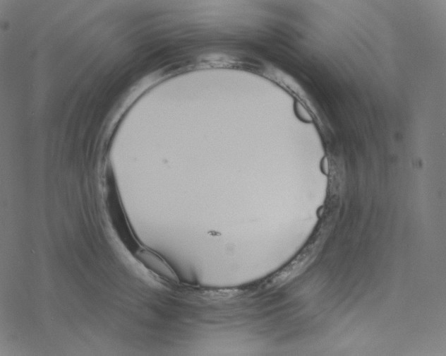 X0000078260859200612011653