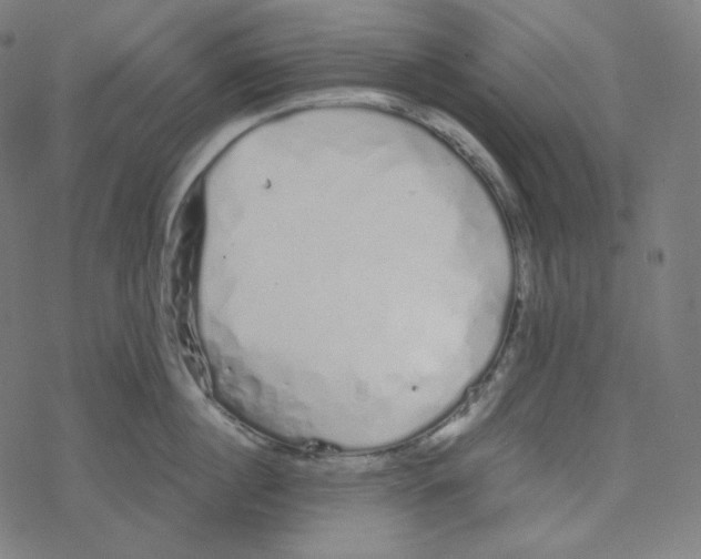 X0000078260860200612011653