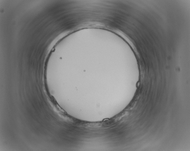 X0000078260861200612011653