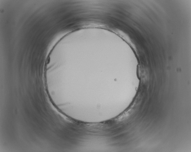 X0000078260863200612011653