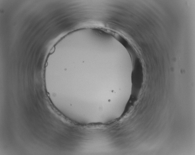 X0000078260864200612011653