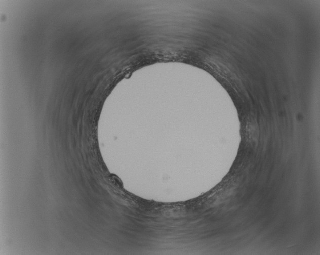 X0000078260865200612011652