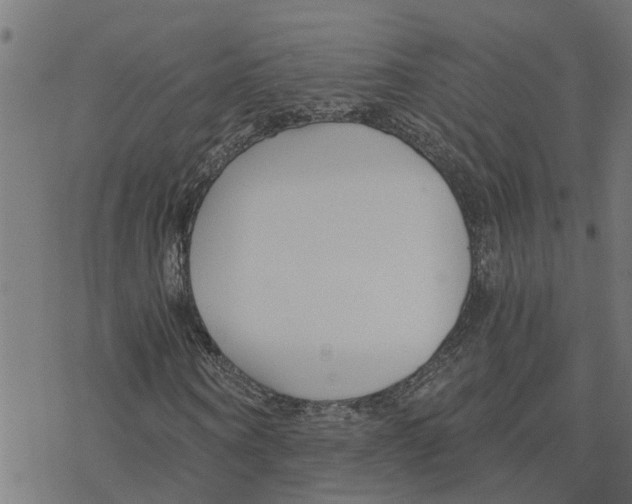 X0000078260866200612011652