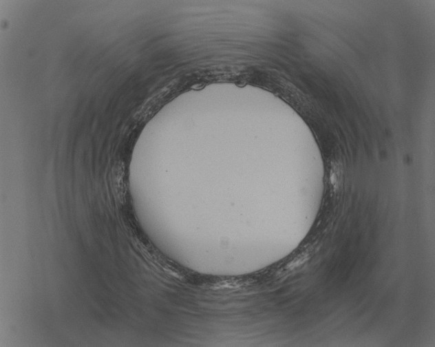 X0000078260867200612011652