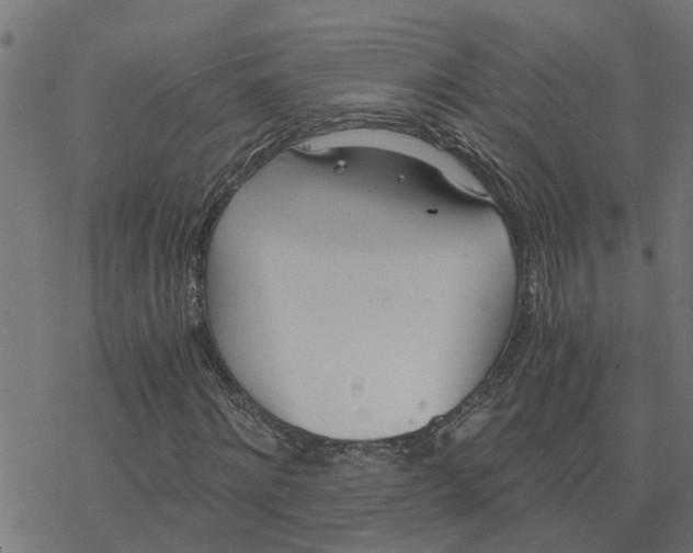 X0000078260868200612011652