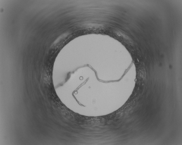 X0000078260869200612011652