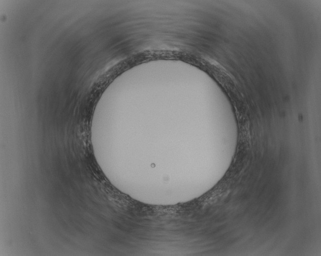 X0000078260870200612011652