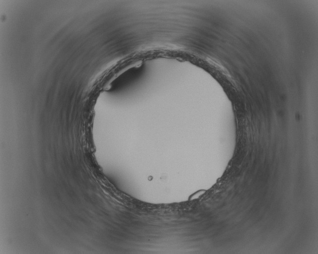 X0000078260872200612011652