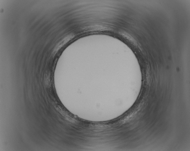 X0000078260873200612011652