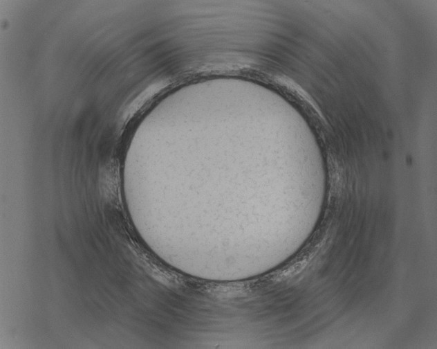 X0000078260874200612011652