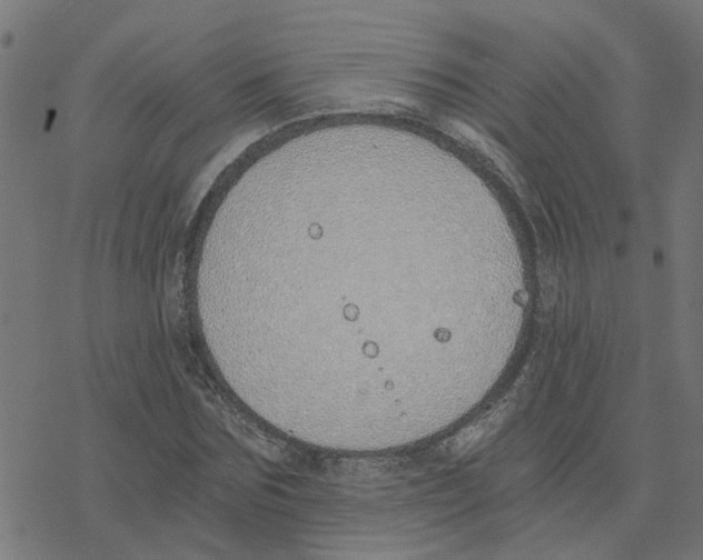 X0000078260875200612011652