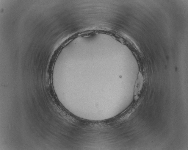 X0000078260876200612011652