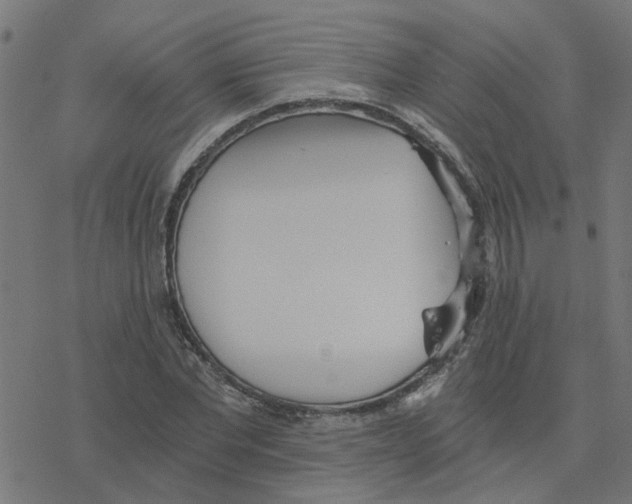 X0000078260877200612011652