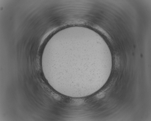 X0000078260878200612011652