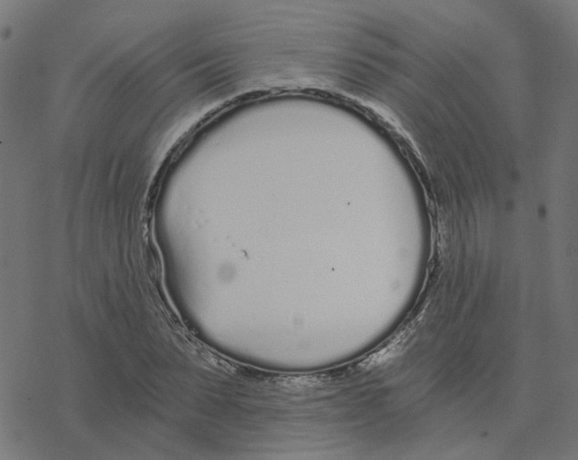 X0000078260879200612011652