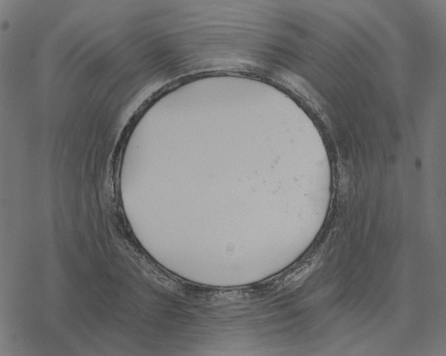 X0000078260883200612011652