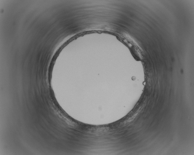 X0000078260884200612011652