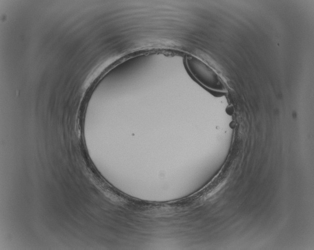 X0000078260885200612011652