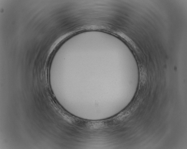 X0000078260886200612011652