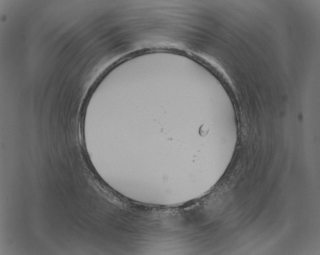 X0000078260887200612011652