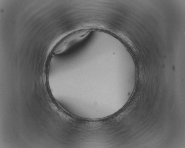 X0000078260888200612011652