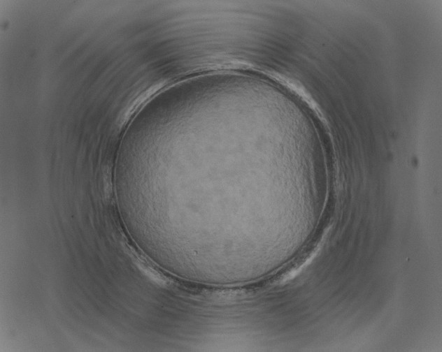 X0000078260889200612011651