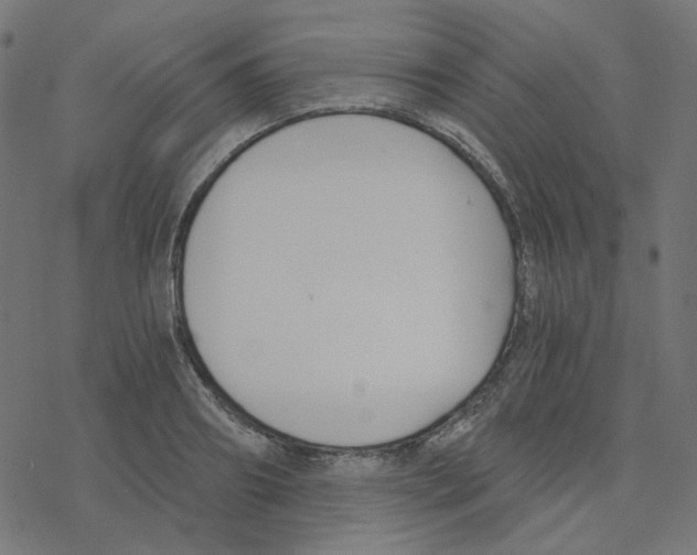 X0000078260890200612011651