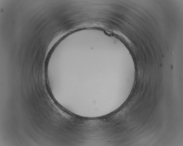 X0000078260894200612011651