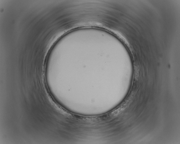 X0000078260895200612011651