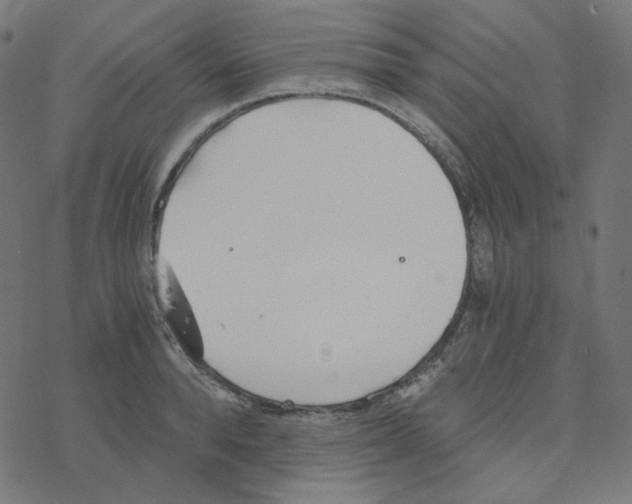 X0000078260896200612011651