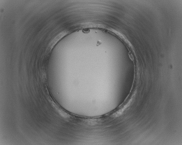 X0000078260897200612011651