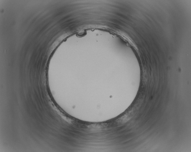 X0000078260898200612011651