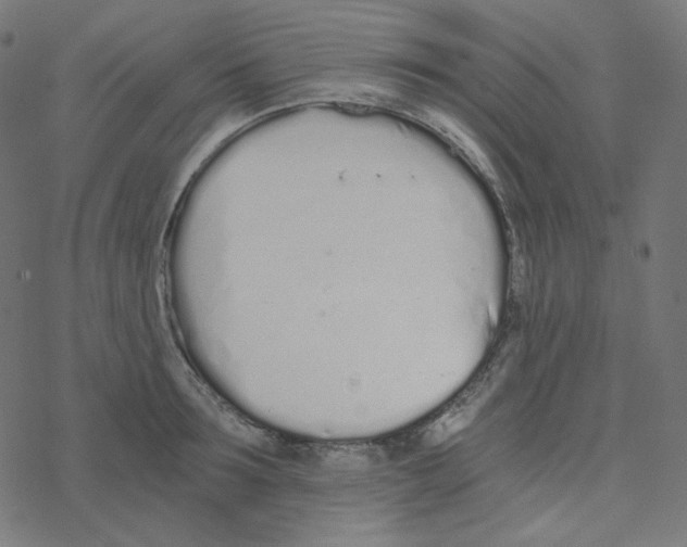 X0000078260899200612011651