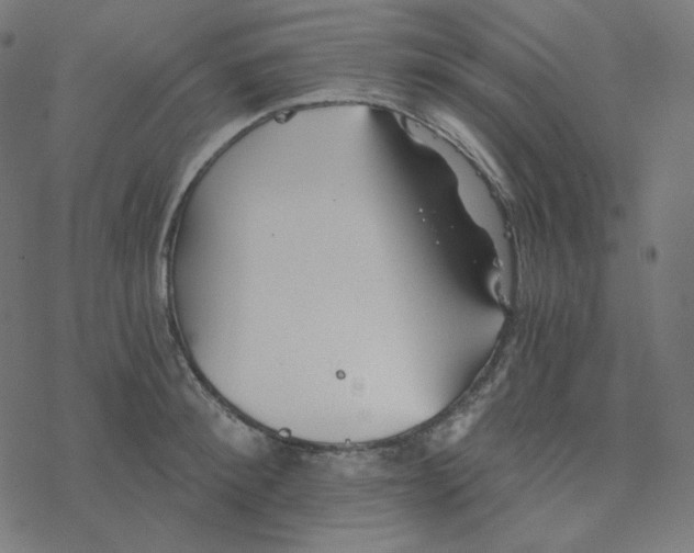 X0000078260900200612011651