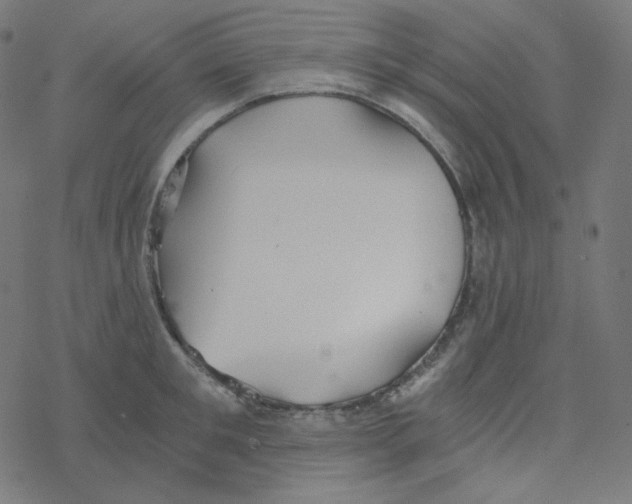 X0000078260901200612011651