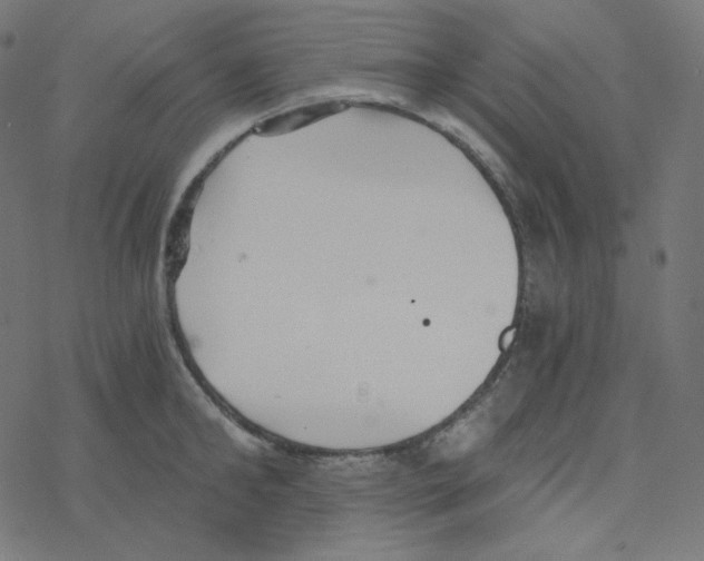 X0000078260902200612011651