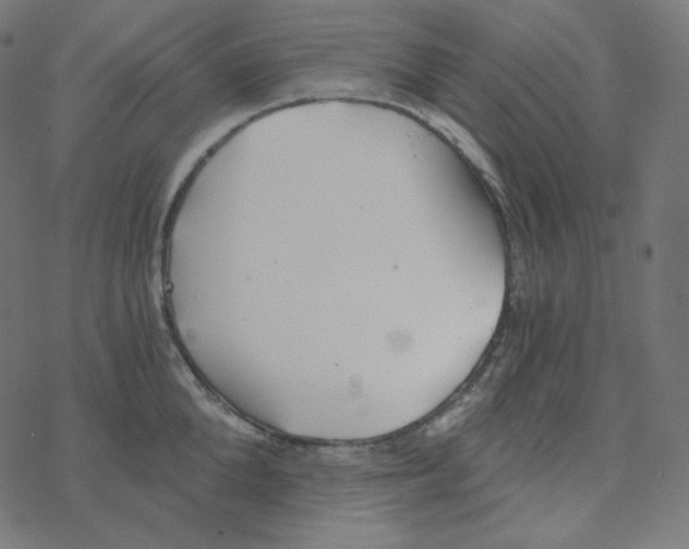 X0000078260904200612011651