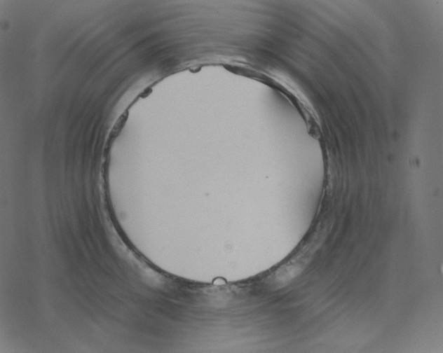 X0000078260906200612011651